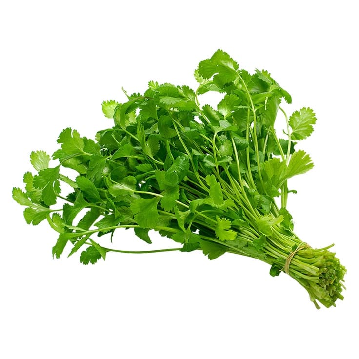 Cilantro Fresco por Libra