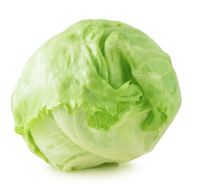 Lechuga Batavia x Libra