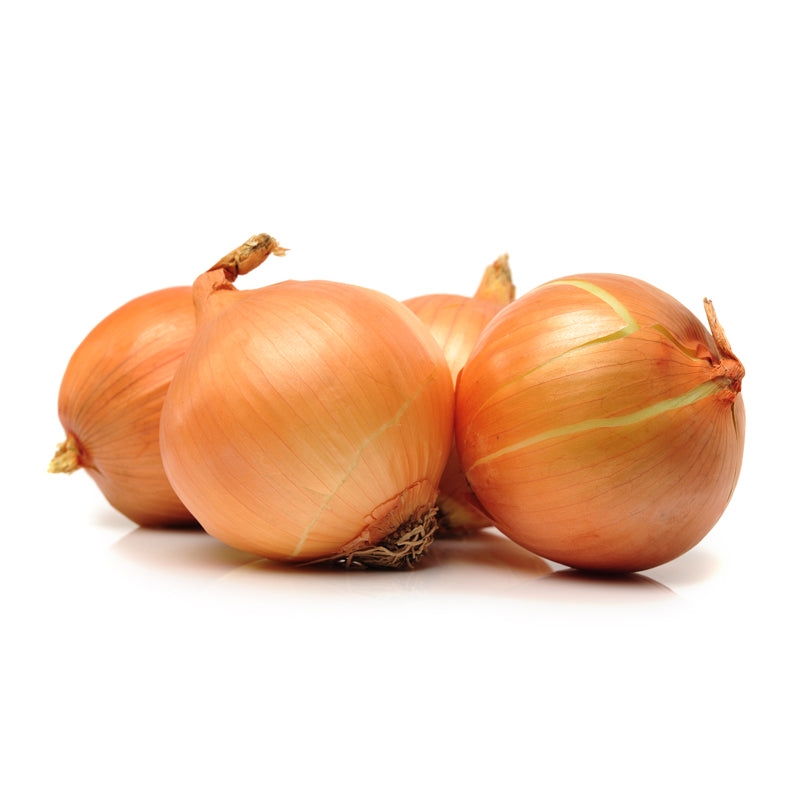 Cebolla Blanca por Kilo