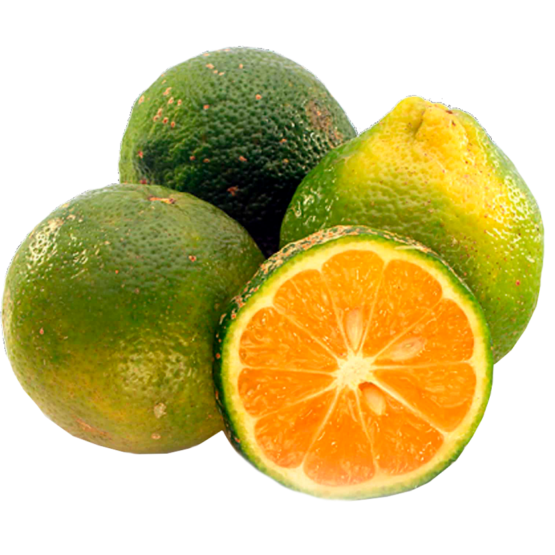 Limon Mandarino X Libra