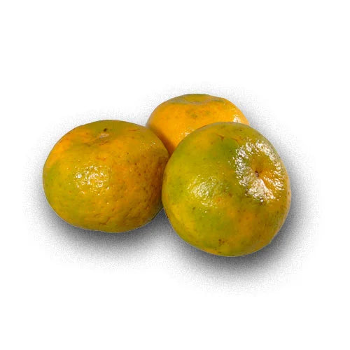 Mandarina Oneco X libra