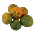 Mandarina Arrayana X Libra