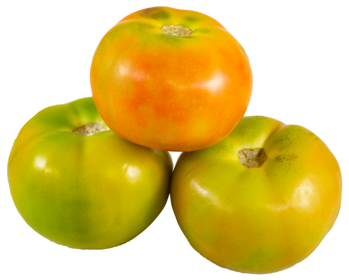 Tomate Milano x libra