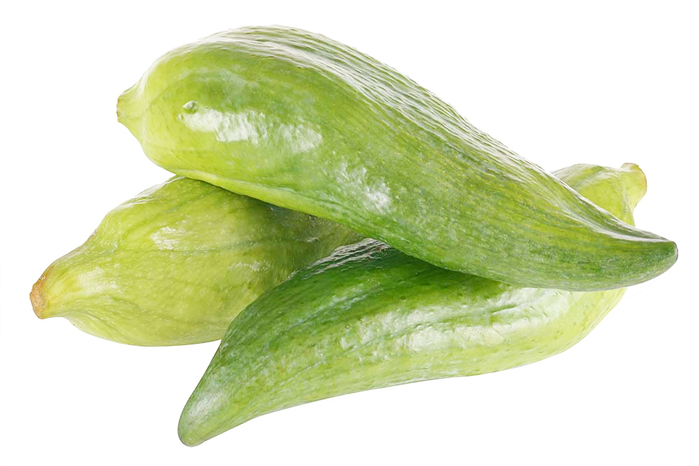 Pepino Archucha X Libra