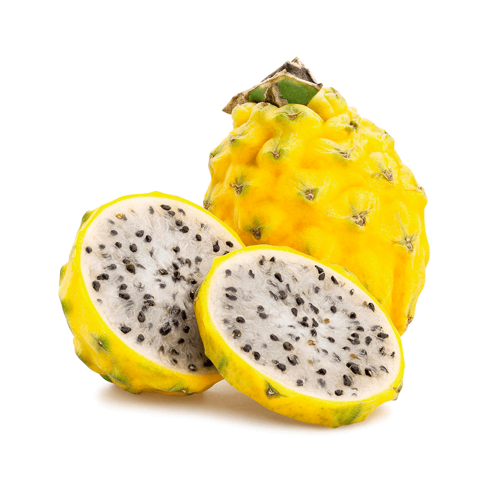 Pitaya X Libra