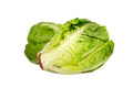 Lechuga Romana X Libra