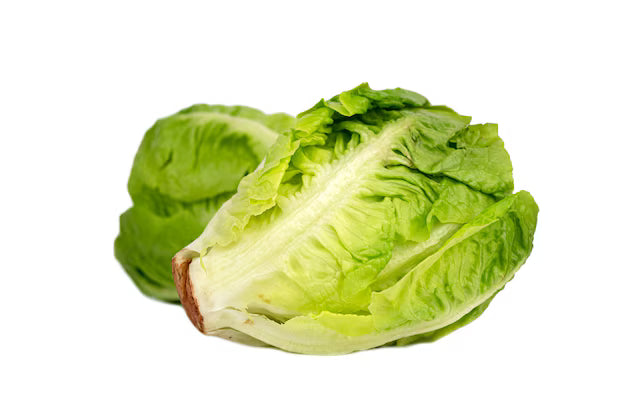 Lechuga Romana X Libra