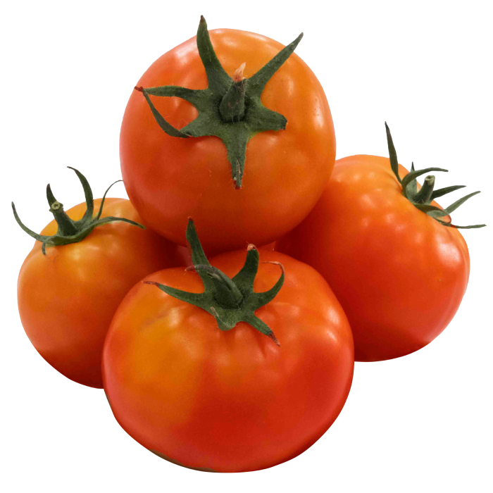 Tomate Chonto x libra